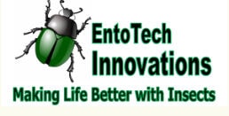 Start Up image