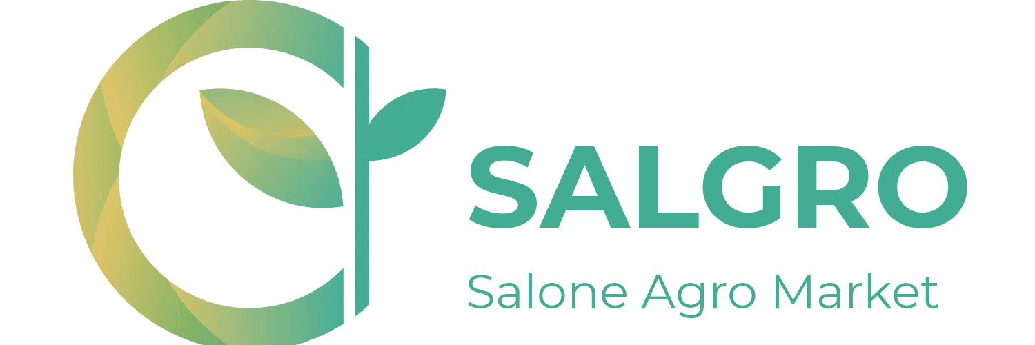 Start Up image